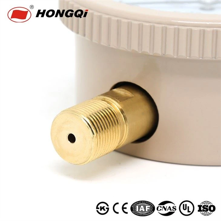 Hongqi Capsule Pressure Gauge Famous Suppliers in China, Asian